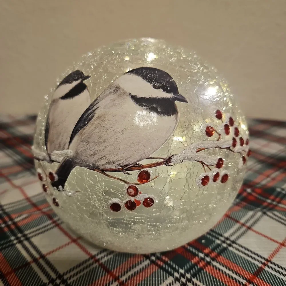 Crackle Glass Decorative Birds & Berries LED Lighted Holiday Globe Decor
